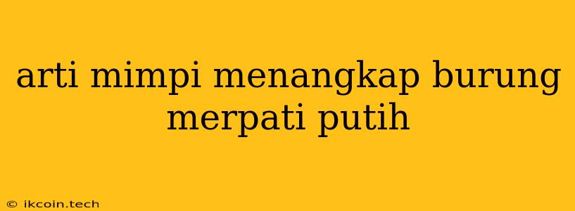 Arti Mimpi Menangkap Burung Merpati Putih