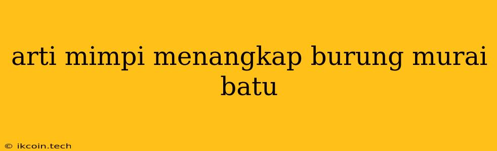 Arti Mimpi Menangkap Burung Murai Batu