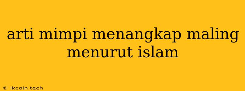 Arti Mimpi Menangkap Maling Menurut Islam