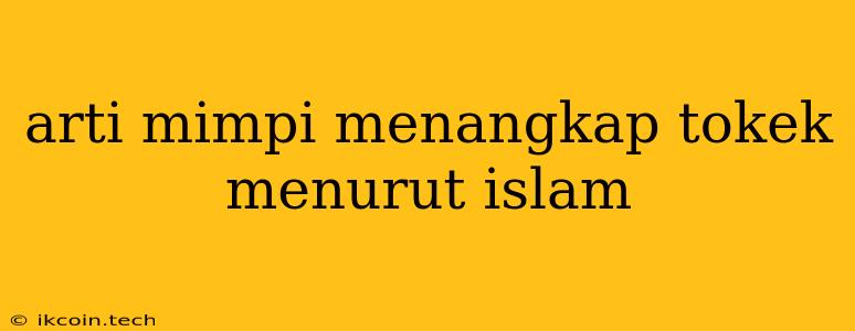 Arti Mimpi Menangkap Tokek Menurut Islam