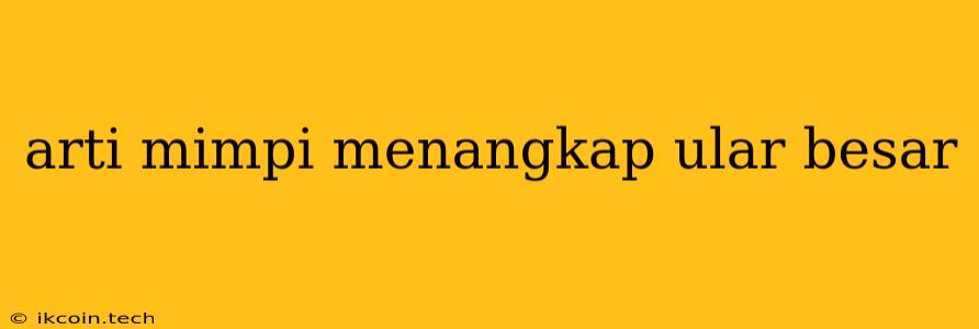 Arti Mimpi Menangkap Ular Besar