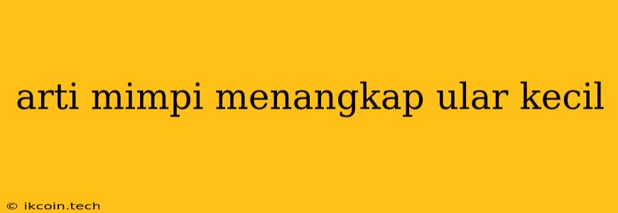 Arti Mimpi Menangkap Ular Kecil