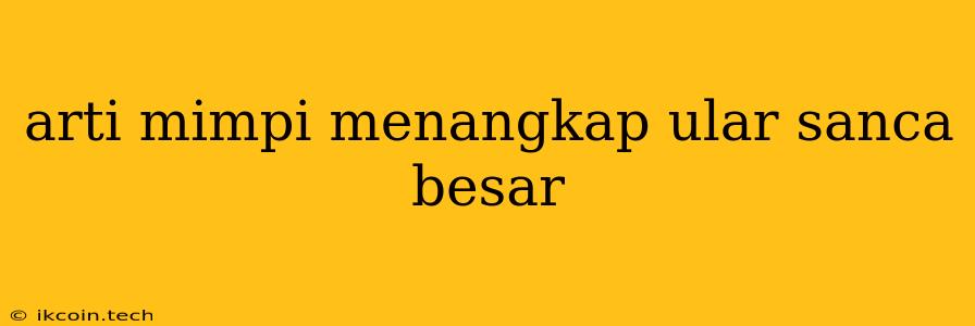 Arti Mimpi Menangkap Ular Sanca Besar