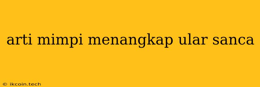 Arti Mimpi Menangkap Ular Sanca