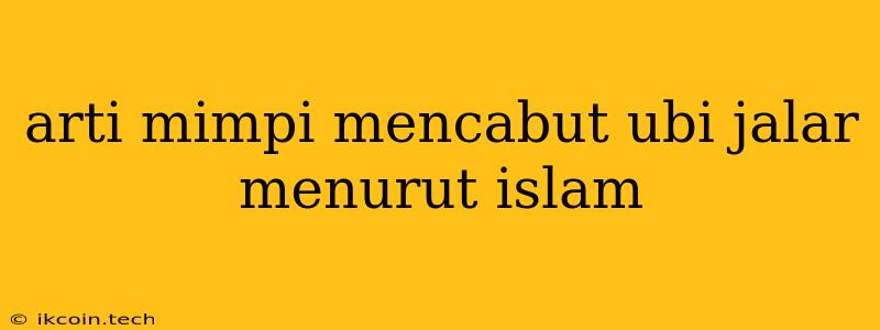 Arti Mimpi Mencabut Ubi Jalar Menurut Islam