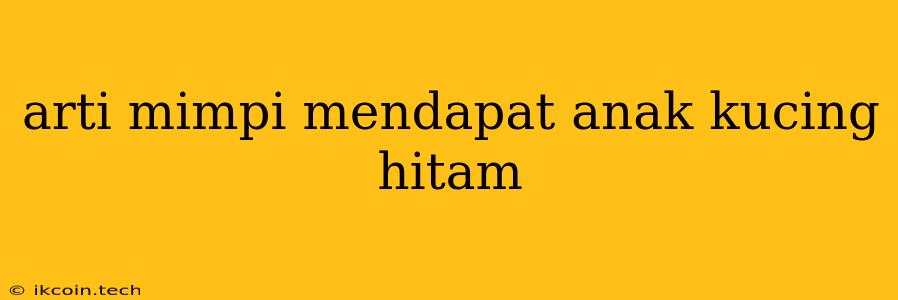 Arti Mimpi Mendapat Anak Kucing Hitam