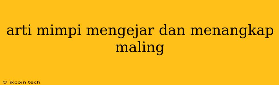 Arti Mimpi Mengejar Dan Menangkap Maling