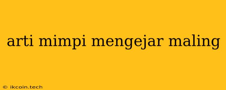 Arti Mimpi Mengejar Maling