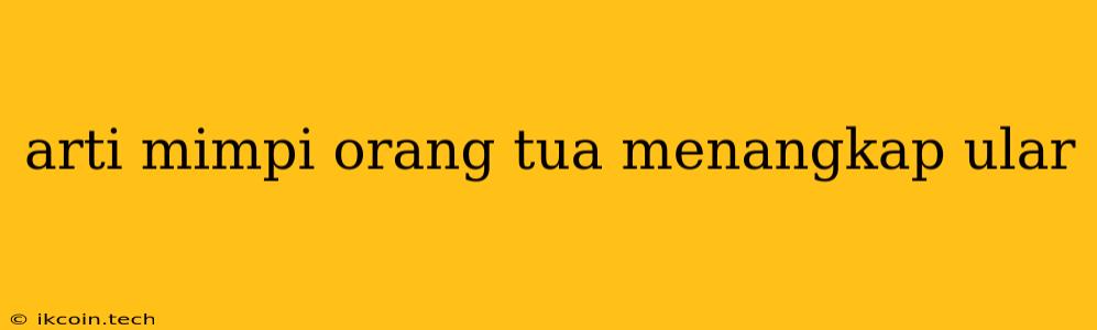 Arti Mimpi Orang Tua Menangkap Ular