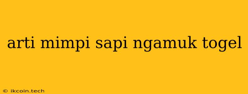 Arti Mimpi Sapi Ngamuk Togel