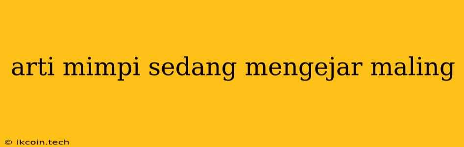 Arti Mimpi Sedang Mengejar Maling