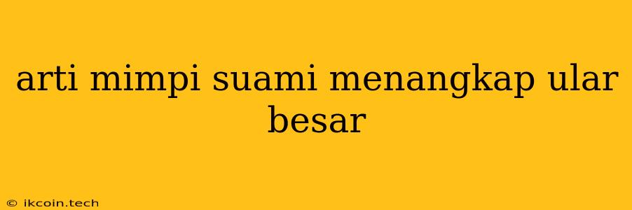 Arti Mimpi Suami Menangkap Ular Besar