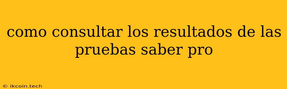 Como Consultar Los Resultados De Las Pruebas Saber Pro