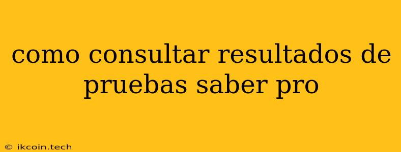 Como Consultar Resultados De Pruebas Saber Pro