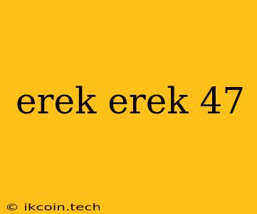 Erek Erek 47