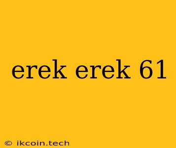 Erek Erek 61